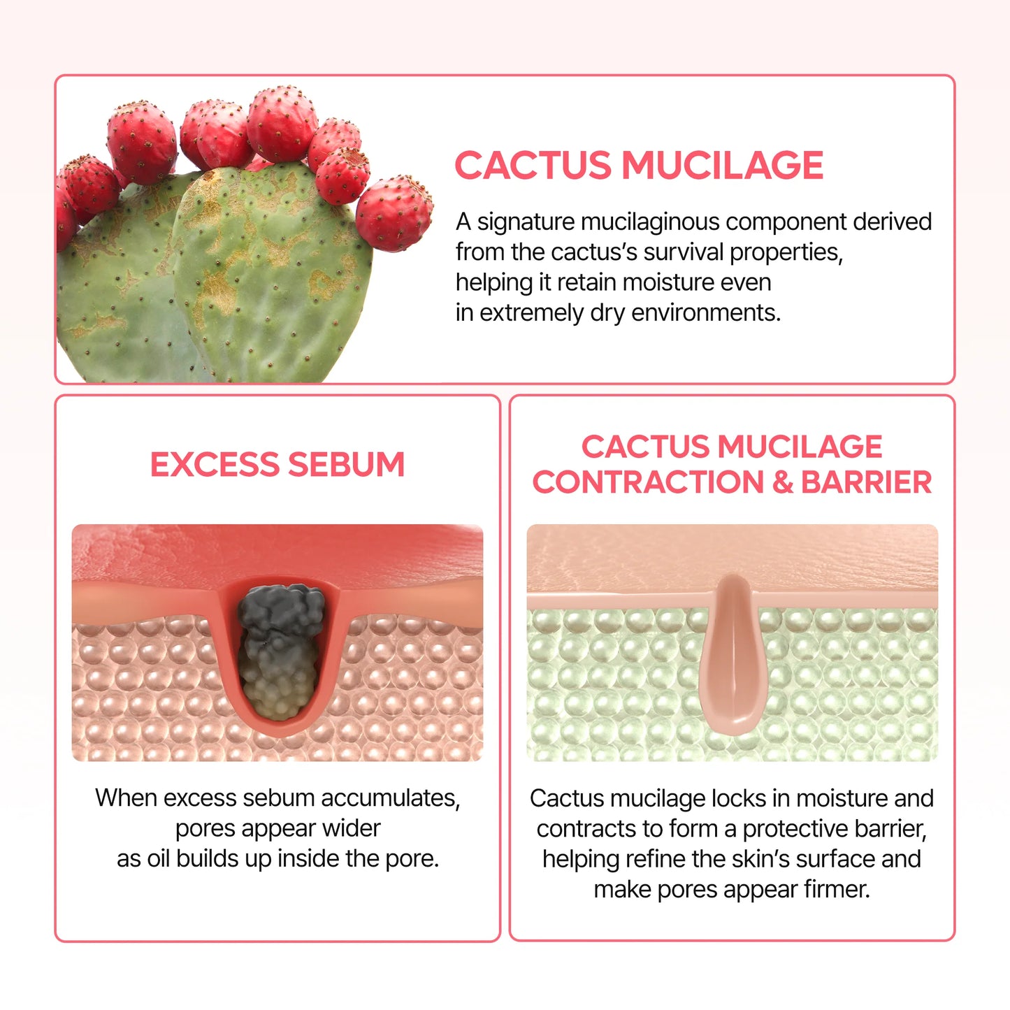DR MELAXIN - Cactox Pore Relief Dual Capsule Cream 65g
