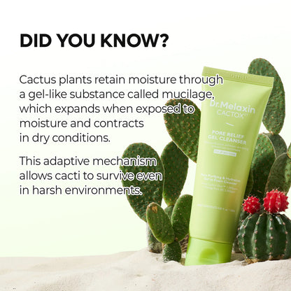 DR MELAXIN - Cactox Pore Relief Gel Cleanser 120ml